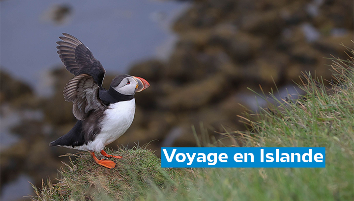 Rencontre mensuelle : Voyage en Islande